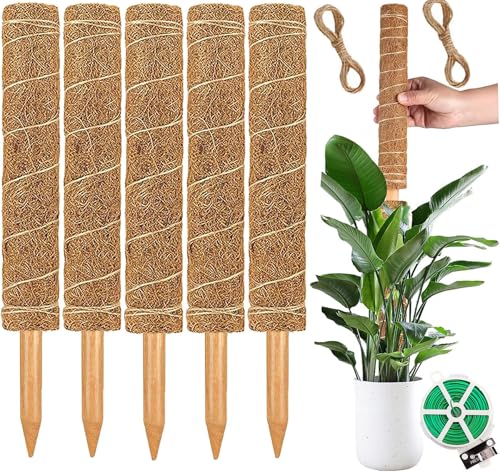 Poste de Musgo de 30 cm, 5 Piezas Tutores para Plantas Trepadoras Fibra de Coco Soporte para Plantas en Maceta, Postes Apilables para Plantas Trepadoras de Interior, Hiedra y Pothos