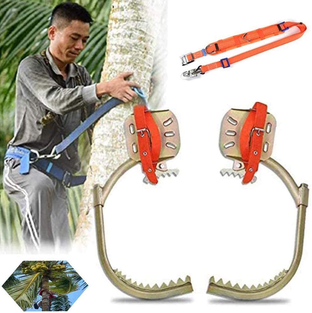 Generic Juego de estacas para trepar árboles, observación de caza, equipo de recolección de frutas, artefacto para trepar árboles, picos de escalada de árboles y accesorios de trabajo