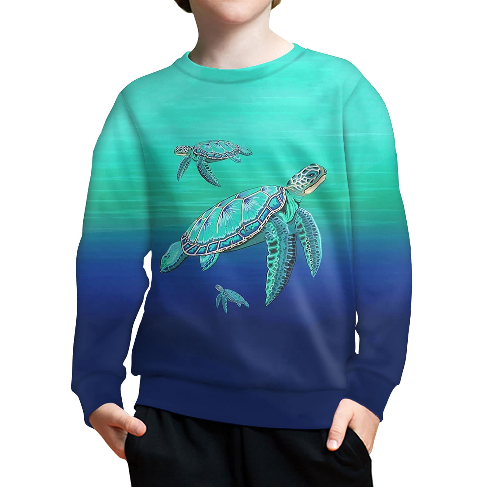 Sweatshirt 6-16 Years Olds Teens Youth Pullover Long Sleeve