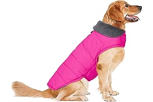 Waterproof Dog Coat: Keep Your Canine Cozy and Dry!
