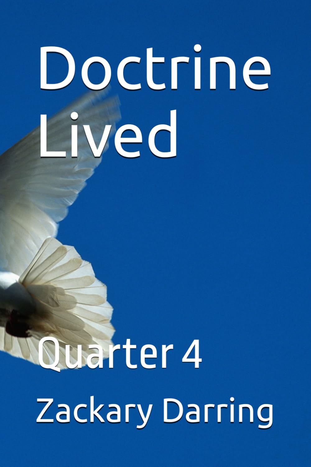 Doctrine Lived: Quarter 4 (Doctrine Lived Adult Sunday School Series)