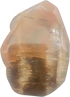 Fossilized Wood Irregular Flat Briolette| 47x40x7mm|Orange/Black| 1 Pendant Bead