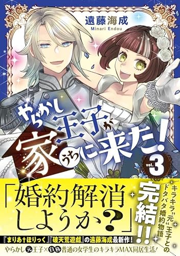 やらかし王子が家に来た! 3 (星海社COMICS)