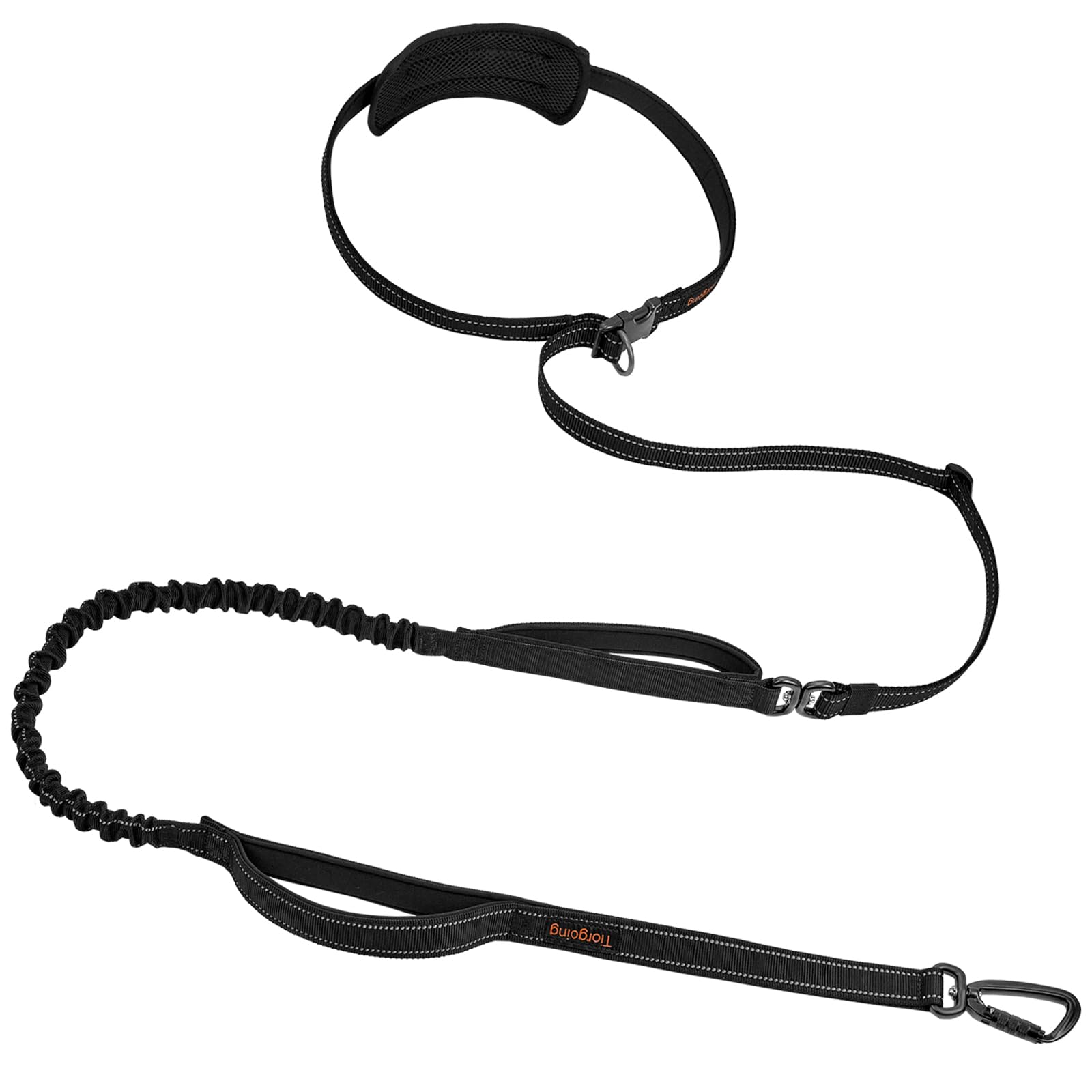 Laisse élastique mains libres pour chien avec mousqueton de verrouillage