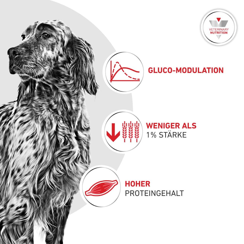 ROYAL CANIN Veterinary Glycobalance Bajo en Carbohidratos Paté | 12 x 410 g | Alimento dietético Completo para Perros | Bajas calorías