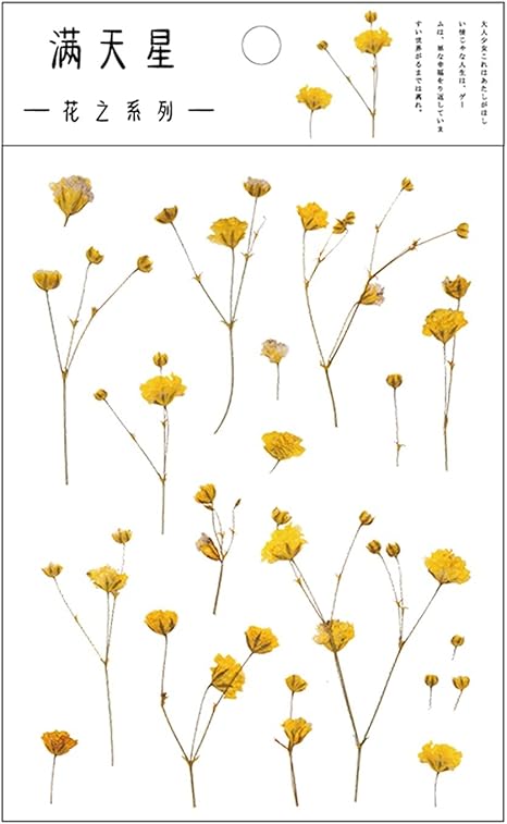 Amazon Co Jp Md 12デザイン天然デイジークローバー日本語言葉ステッカー透明ペット素材花葉植物デコステッカー Color B おもちゃ Amazon Co Jp Md 12デザイン天然デイジークローバー日本語言葉ステッカー透明ペット素材花葉植物デコステッカー Color B おもちゃ