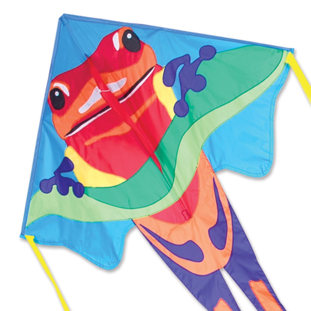 Amazon.com: Large Easy Flyer Kite - Poison Dart Frog (46