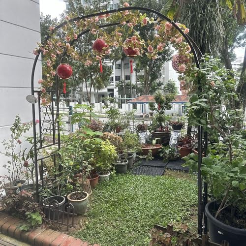 Arco da giardino in metallo resistente antiruggine per piante rampicanti, arco per matrimoni all'aperto, pergolato per decorazione ingresso giardino, per viti e rose