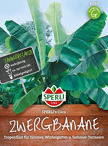 Sperli 85160 Zwergbanane (Bananensamen)