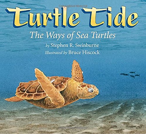 Turtle Tide: swinburne, stephen r., Hiscock, Bruce: 9781590780817 ...