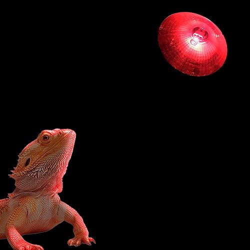 Miniatura 3 de Bombilla G9 de 50 W, 120 V, 2 pines, paquete de 3 bombillas de repuesto regulables, color rojo cálido