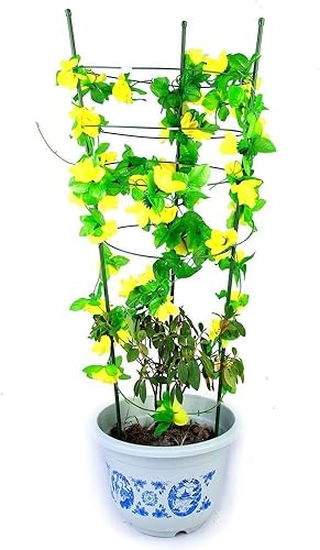 Vigoro Soporte de flores grandes de 3 anillos