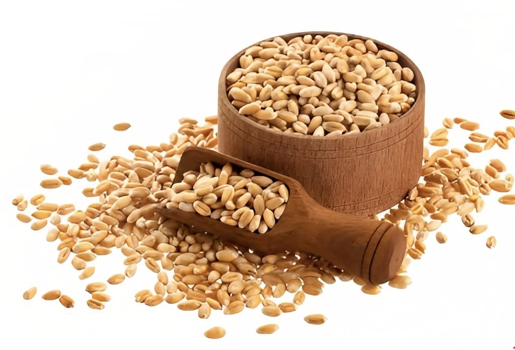 Mahalaxmi M.P. Lokwan Wheat 5kg (B0C6B4DDNC) Amazon Price History, Amazon Price Tracker