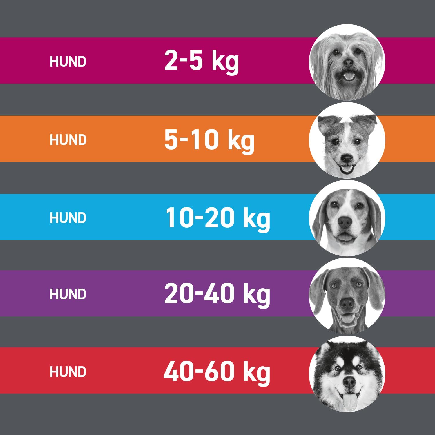 FRONTLINE TRI-ACT Hund XL gegen Zecken, Flöhe & Mücken (40 bis 60 kg) | 6+3 Pipetten (2er Pack) für bis zu 9 Monate Schutz - wasserfest - perfekt auf Reisen - für große Hunde