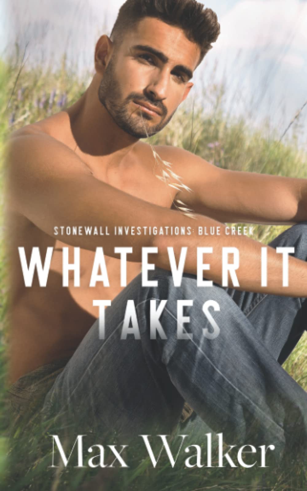 Whatever It Takes (Stonewall Investigations: Blue Creek)