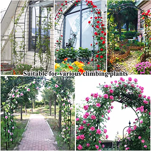 Arche de jardin en métal robuste et treillis pour rosiers - 5