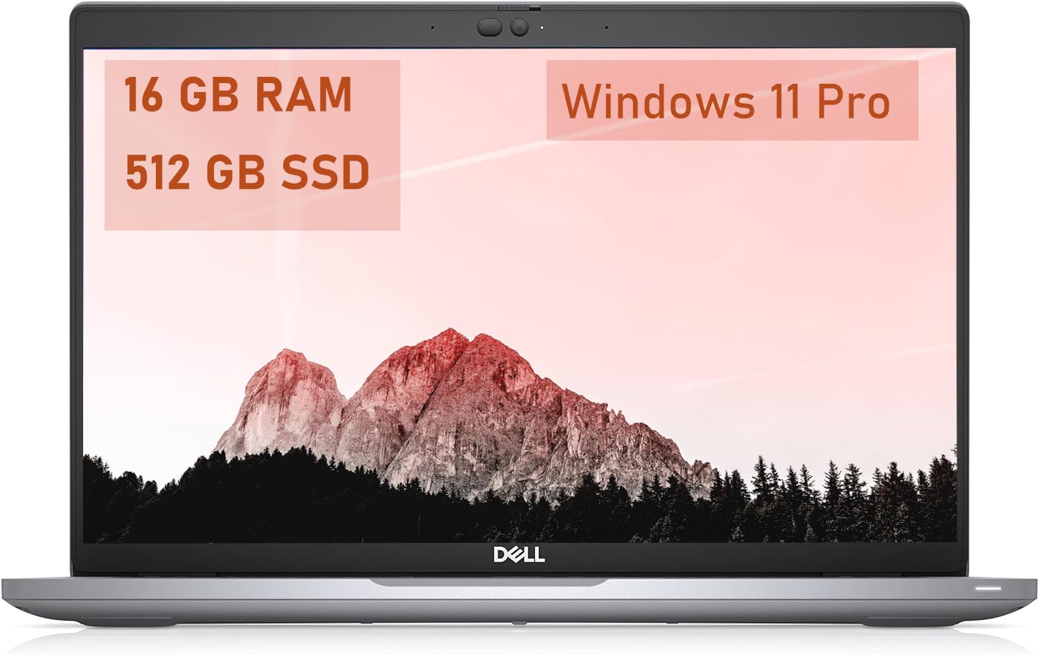 Amazon.com: Dell Latitude 5420 14