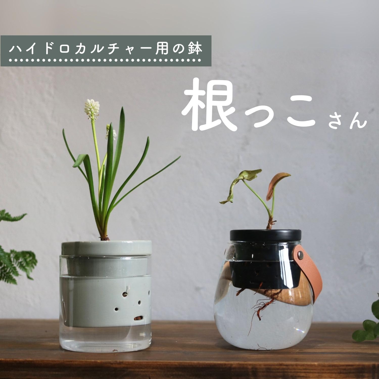 根っこさん専用 Amazon.co.jp: onajimi 根っこさん とって付きガラス花瓶セット S