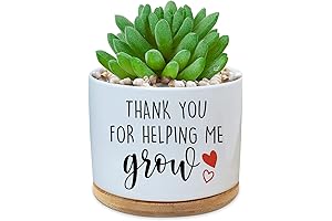 Funny Ceramic Succulent Cactus Planter Pot