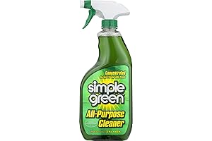 Green Eco-Friendly Simple Bike Cleaner
