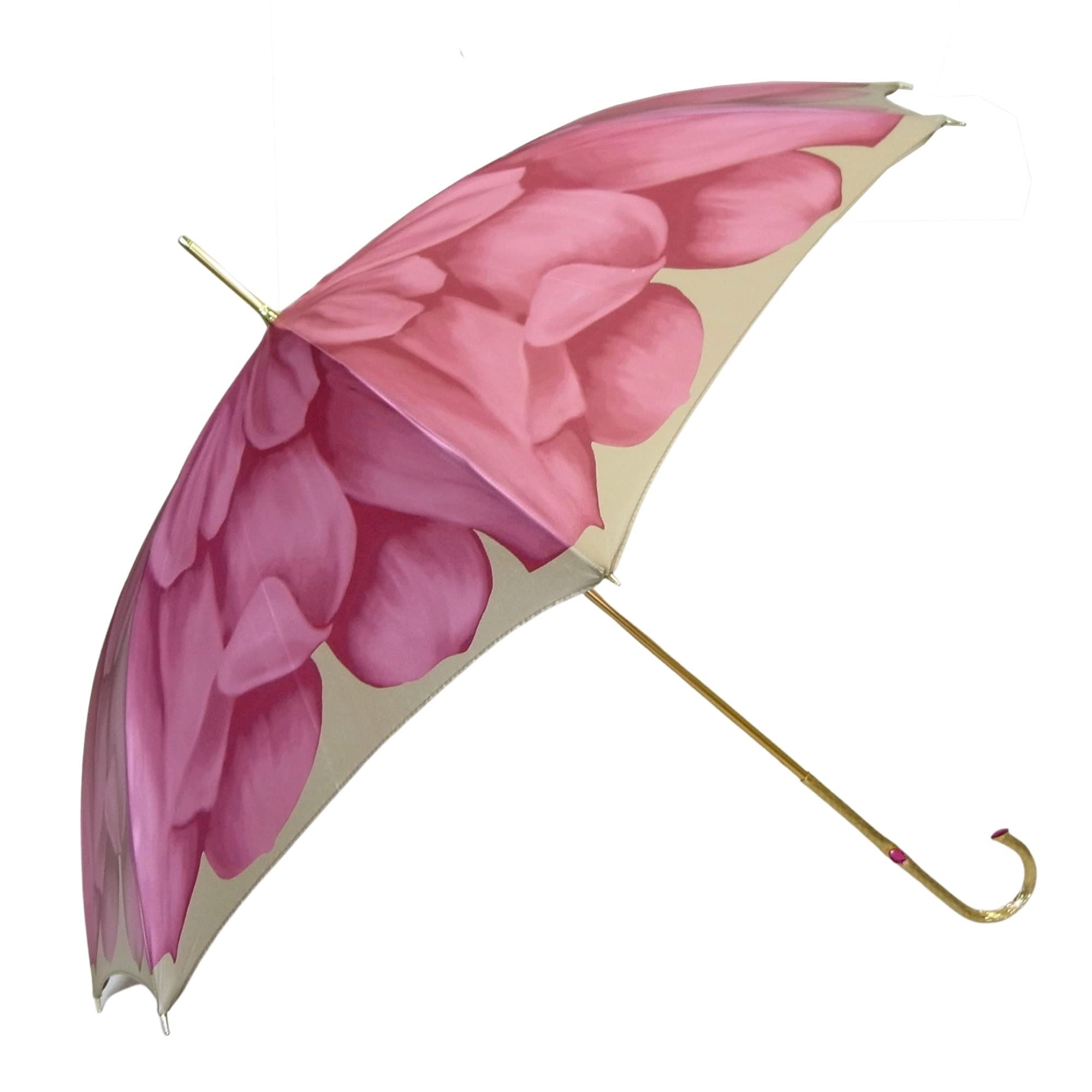 Amazon | [パソッティ] 傘 レディース フューシャ ダリヤ Style