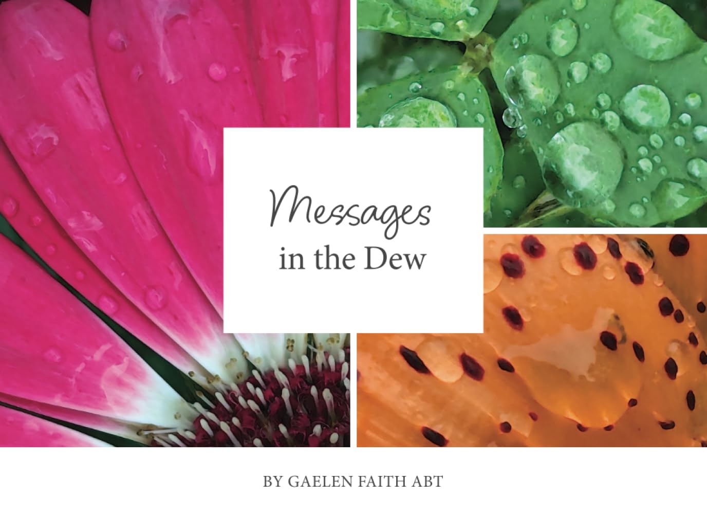 Messages In The Dew: Inspirational messages from nature.