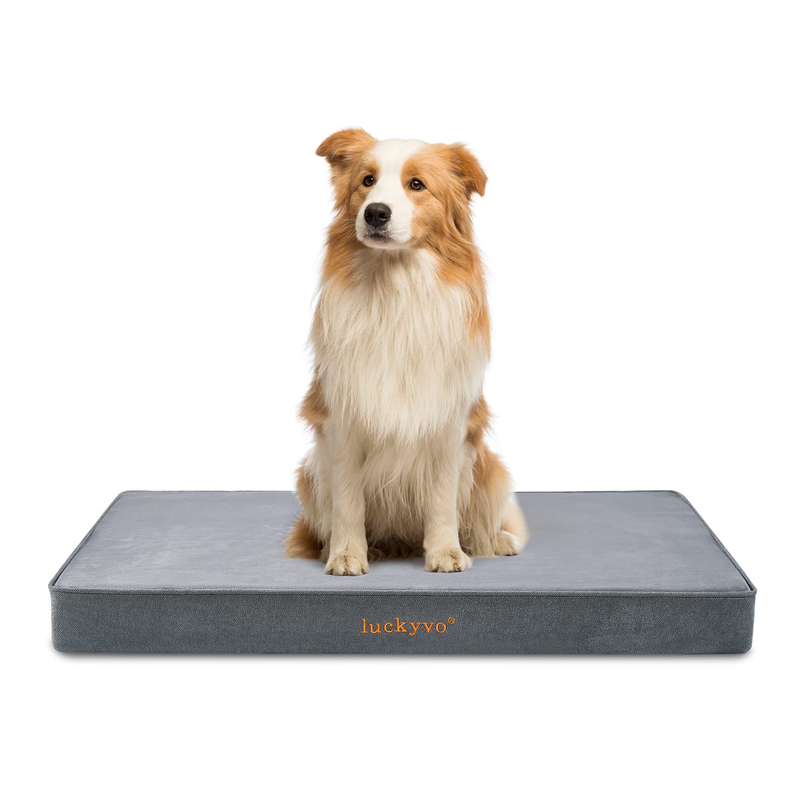 luckyvo Large Dog Bed for Large Dogs, Orthopedic Dog Bed with Washable Removable Cover ,Waterproof Dog Bed for Crate, Memory Foam Dog Bed/Crate Pet Bed Suitable for Medium, Large and Extra Large Dogs