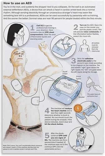 Póster de primeros auxilios de emergencia, póster de conocimiento de seguridad, pinturas artísticas de pared, decoración de pared, decoración del