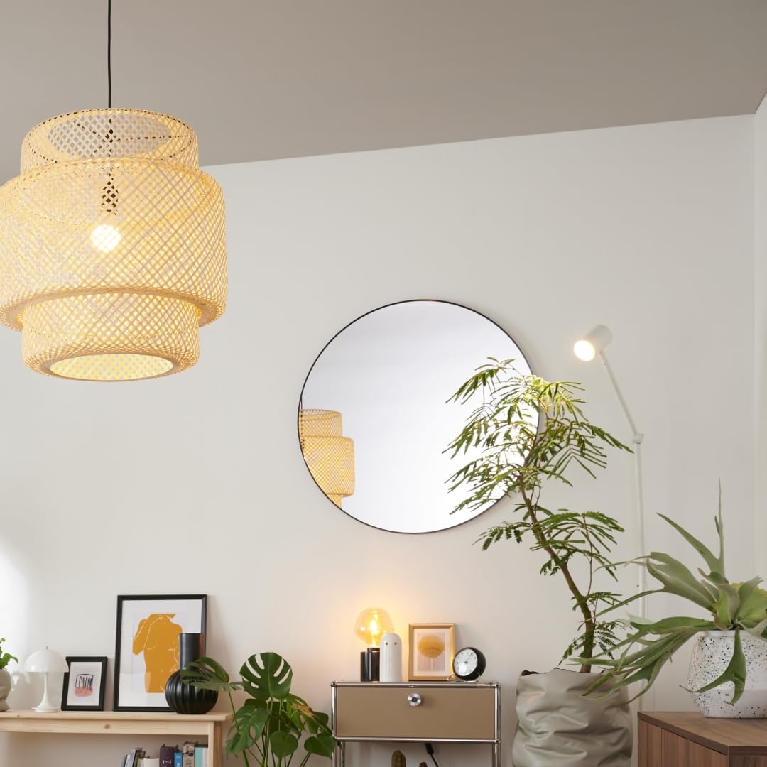 Amazon｜観葉植物 エバーフレッシュ 大型 7号 8号 10号 インテリア