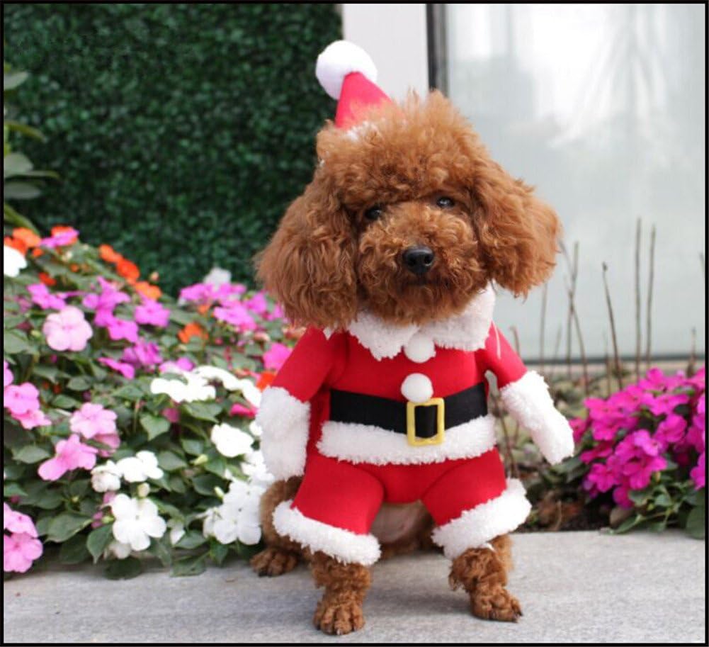 NACOCO Disfraces de Navidad para Mascotas, Traje de Perro con Gorra, Traje de Papá Noel con Capucha para Perro, Disfraz de Navidad para Gato (Rojo, M)