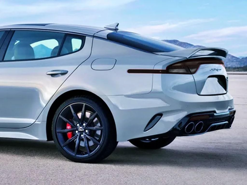 Rvinyl Tail Light Pre Cut Film Tint Cover Kit in Blackout Smoke Compatible with Kia Stinger 2022-2023 - Adhesive Backs