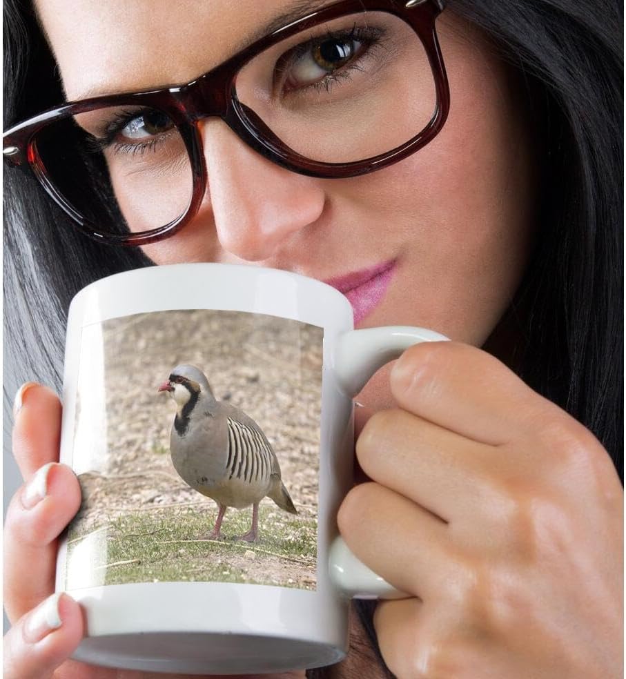 Miniatura 2 de 3dRose Chukar Bird - Taza de 11 onzas, color blanco