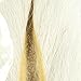 Wapsi Bucktail Large, Natural Tying Material Streamers Decievers Saltwater Patterns