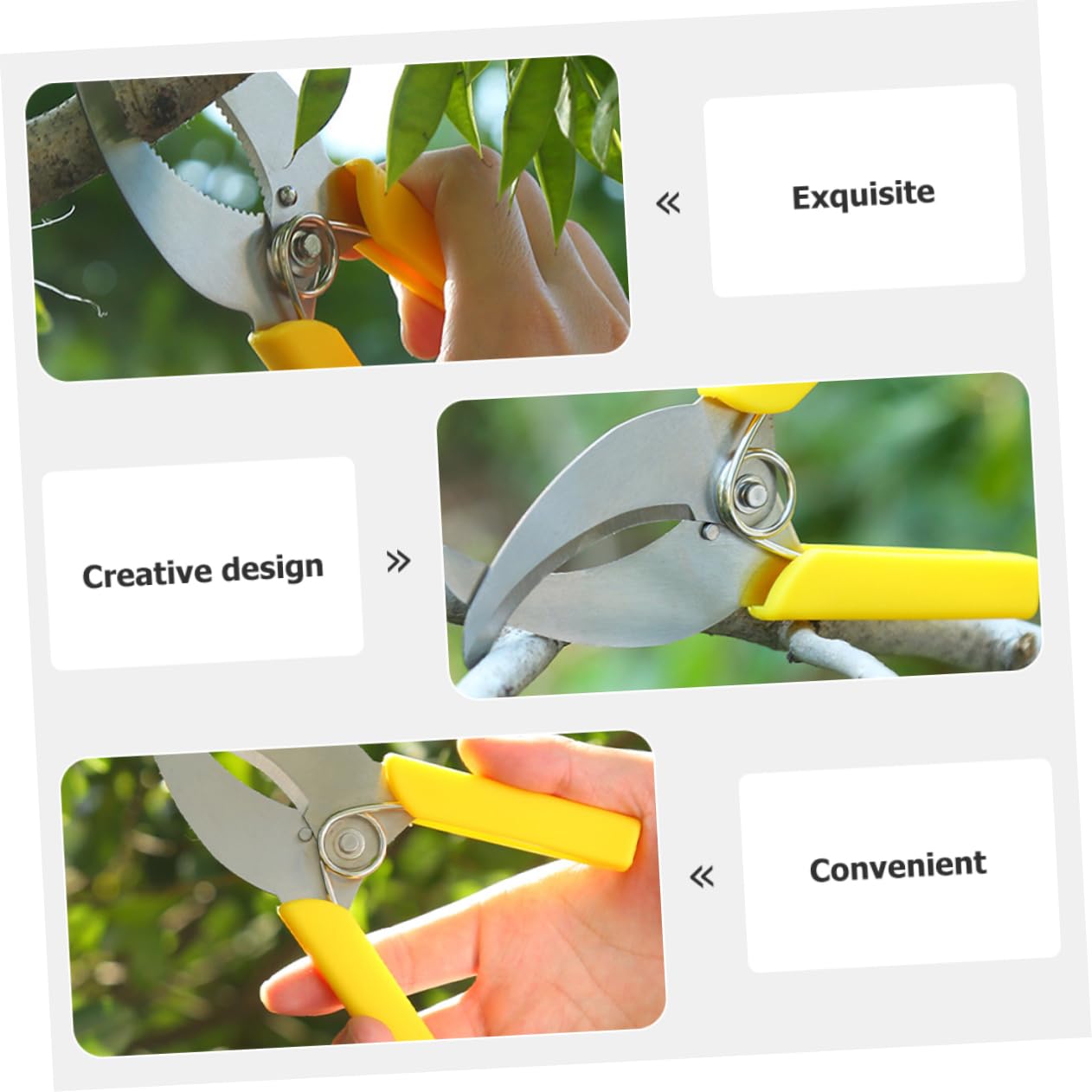 Abaodam 3 Ensembles Cisailles À Ceinturer Outil De Plantation De Fruits Outils À Main Du Jardin Outil De Jardinage À Main Outils À Main Le Jardinage Acier Inoxydable 2 Pièces * 3