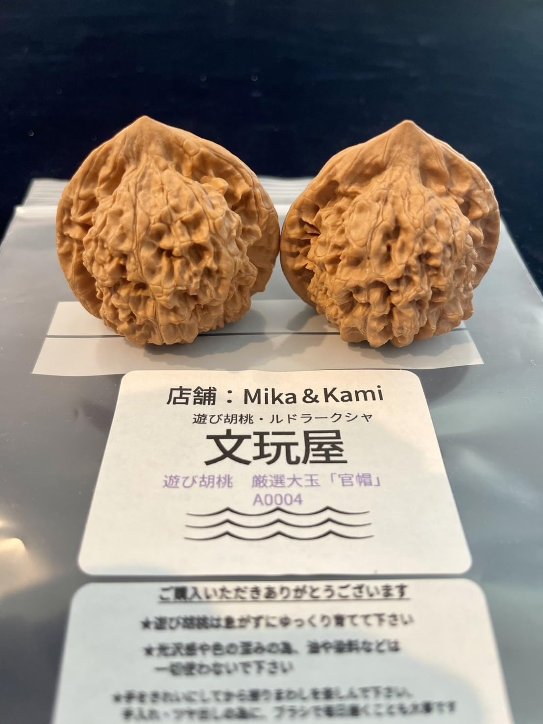 Amazon | 文玩屋 遊び胡桃 厳選大玉「官帽」A0004「手で遊び育てる