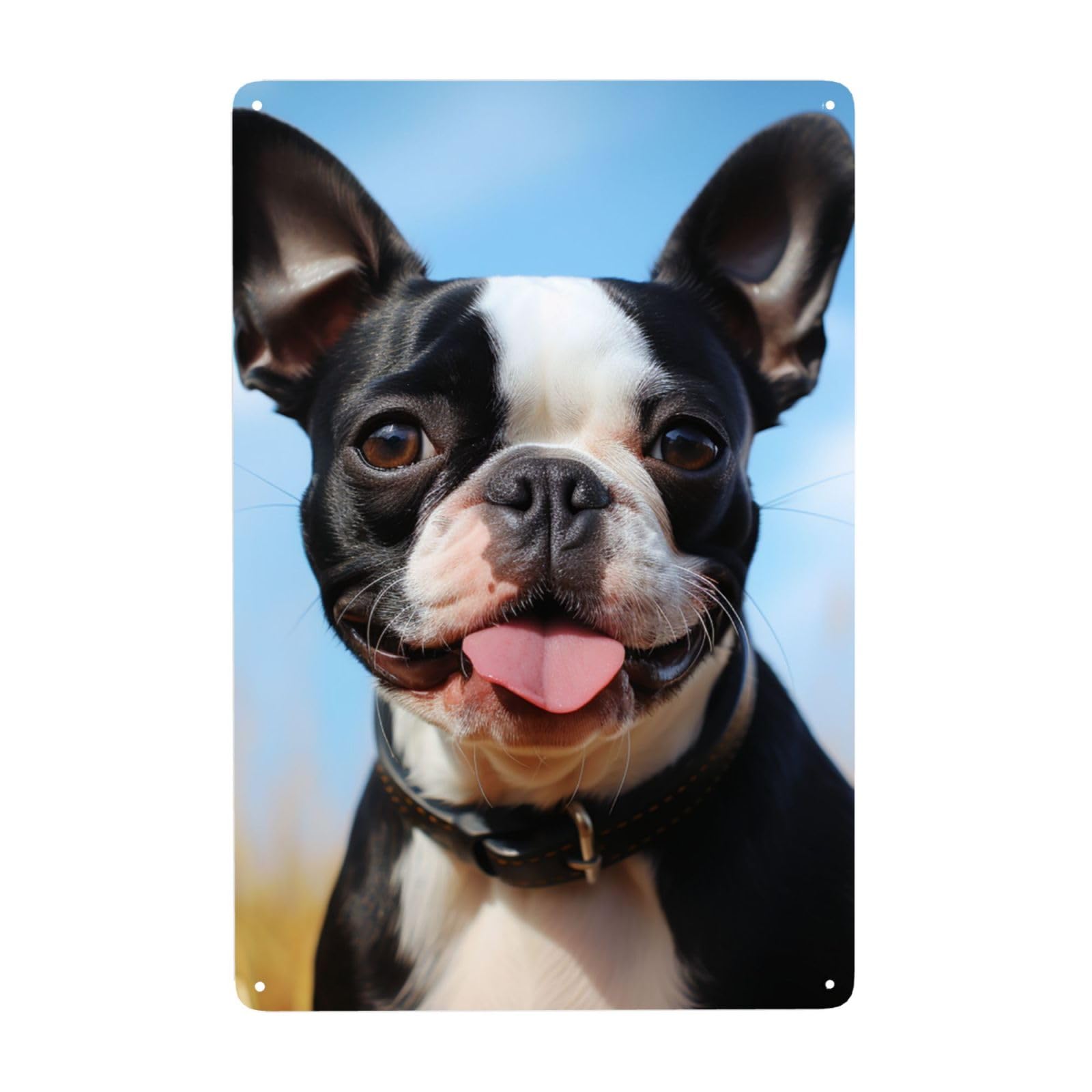 Fodpand White Vintage Tin Signs Metal Retro Wall Art Decor - Wall Hanging Decorative Plaque 8X12 Inch, Lovely Boston Terrier Metal Signs For Home Yoga Cafes, Funny Metal Poster For Gifts