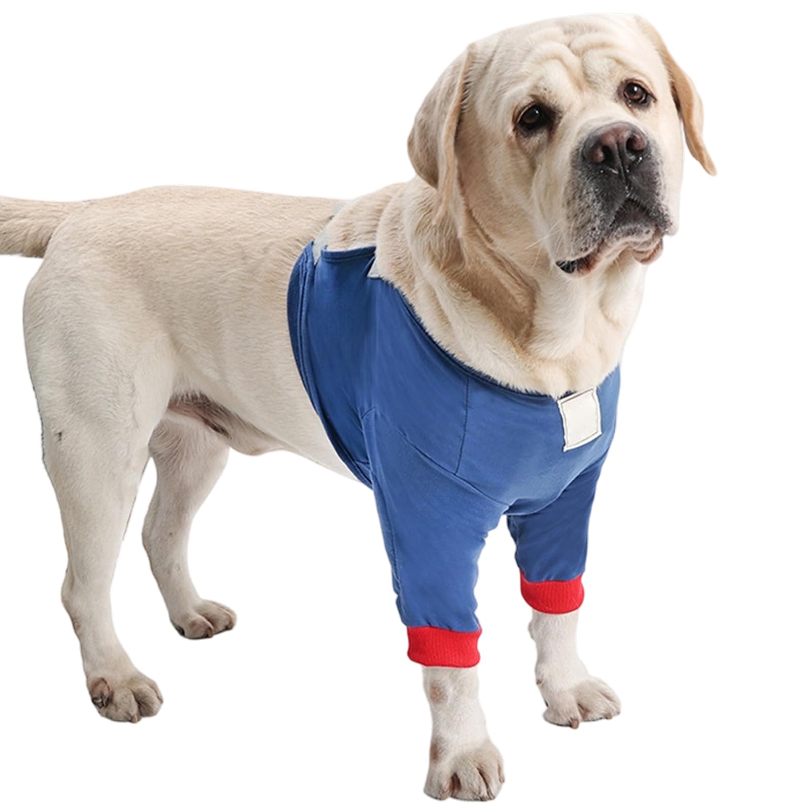 Genérico Knee Pad for Dogs – Adjustable Anti-Licking Recovery Sleeve with Soft Cotton Pad – Elbow Support Bandage, for Home, Walks, Running and Travel