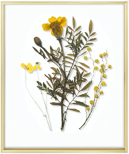 Vista 20 de Frametory, Marco de fotos flotante de 8 x 10 pulgadas, marco de fotos de metal de aluminio negro, cristal real de la parte delantera, para pantallas