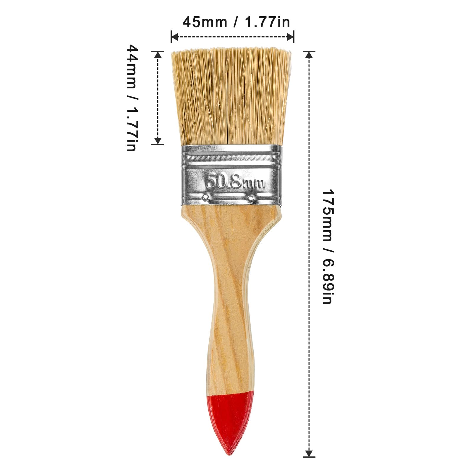 Set 24 Pennelli Piatti 45 Mm - Setole Naturali, Manico Legno, Per Vernici E Mordenti - Foto 12