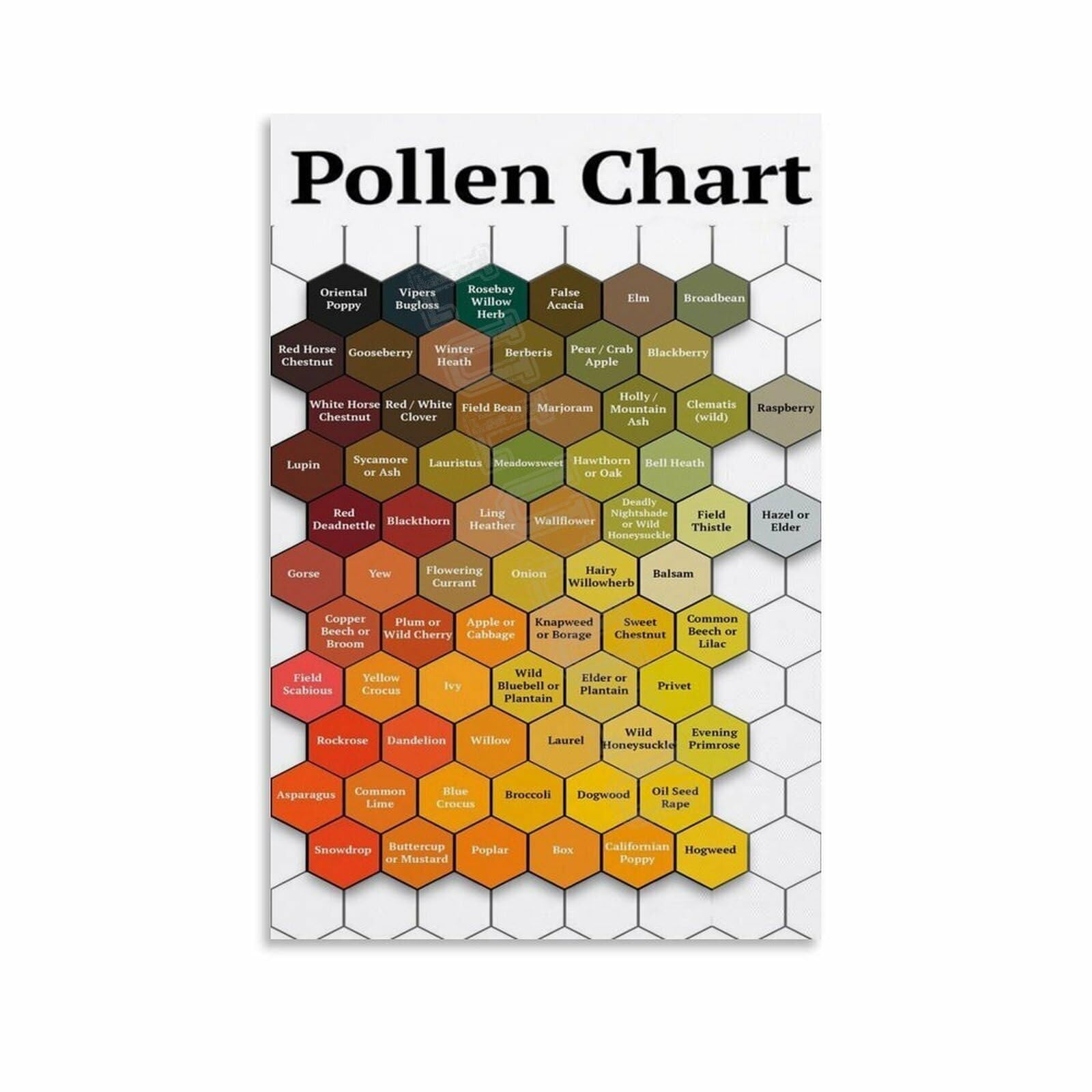 RQLVZHGK Pollen Chart & Allergy Guide Poster - Seasonal Allergies Reference, Educational Canvas Wall-Art for Home Unframed,12x18inch(30x45cm)