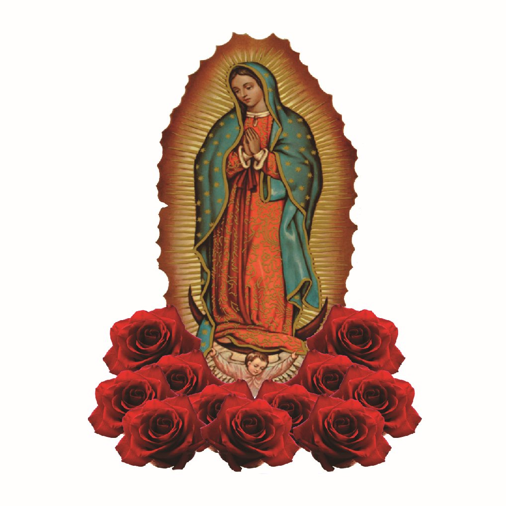 Virgen de Guadalupe Sticker Decal