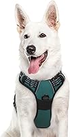 Vista 19 de Eagloo Arnés para perro pequeño, sin tirones, chaleco de servicio con tiras reflectantes y asa de control, ajustable y cómodo para caminar, arnés