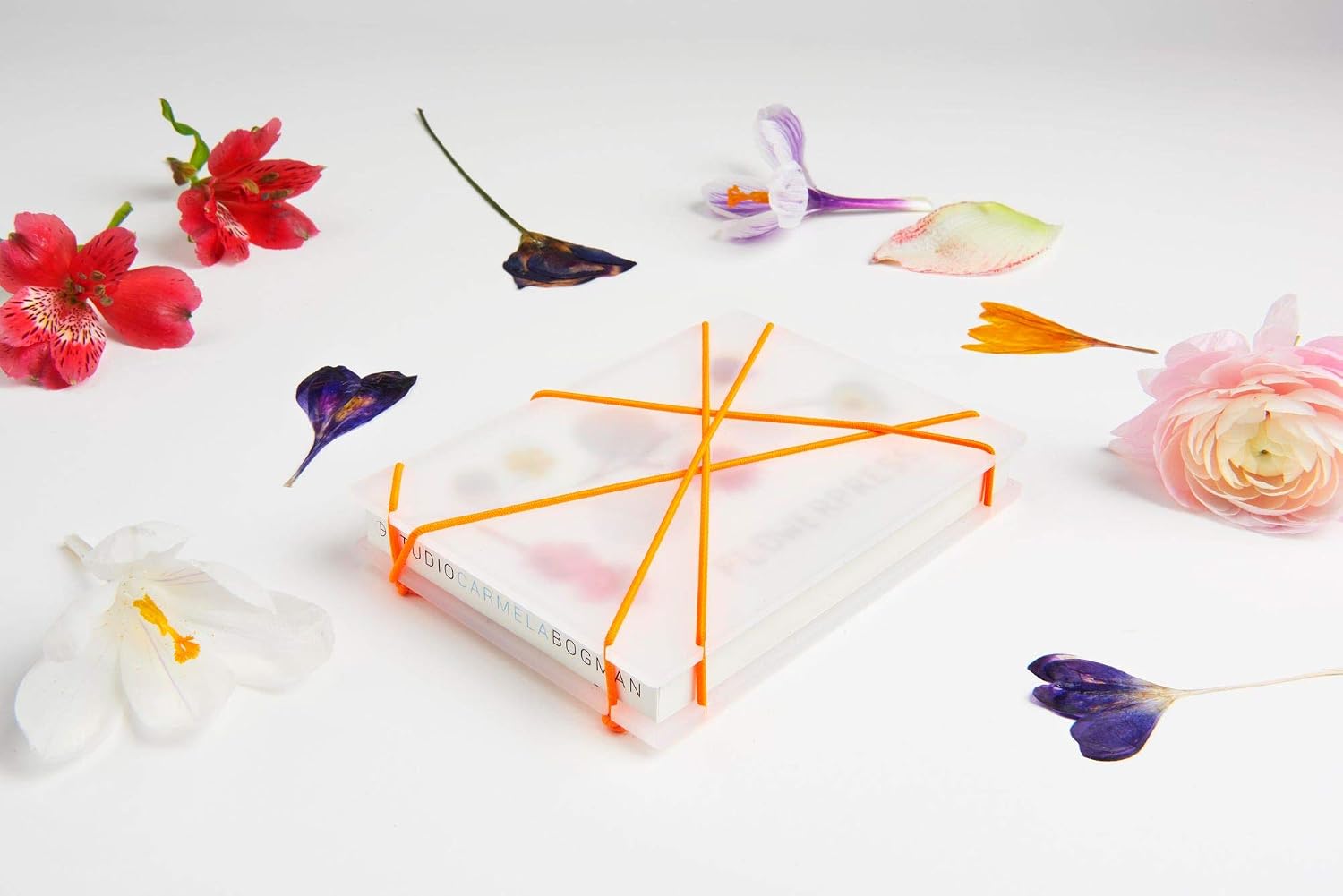 Studio Carmela Bogmann Pocket flower press made of paper, plastic and rubber 148 x 105 x 24 mm
