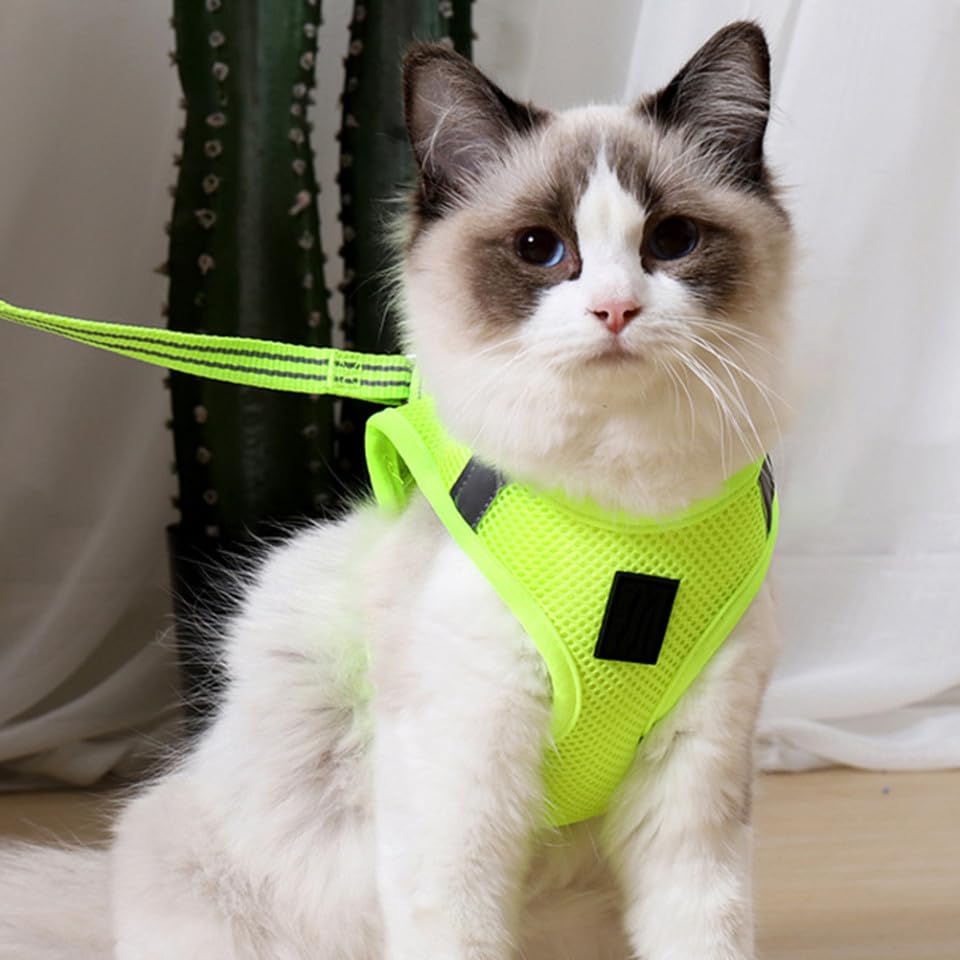 Gilet respirant pour chat design créatif vert fruit confortable - 4