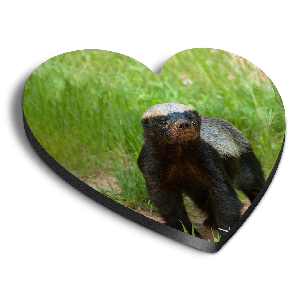 Destination Vinyl Ltd Multicolor 1 X Heart Mdf Magnets - Wildlife Animal Honey Badger 16108