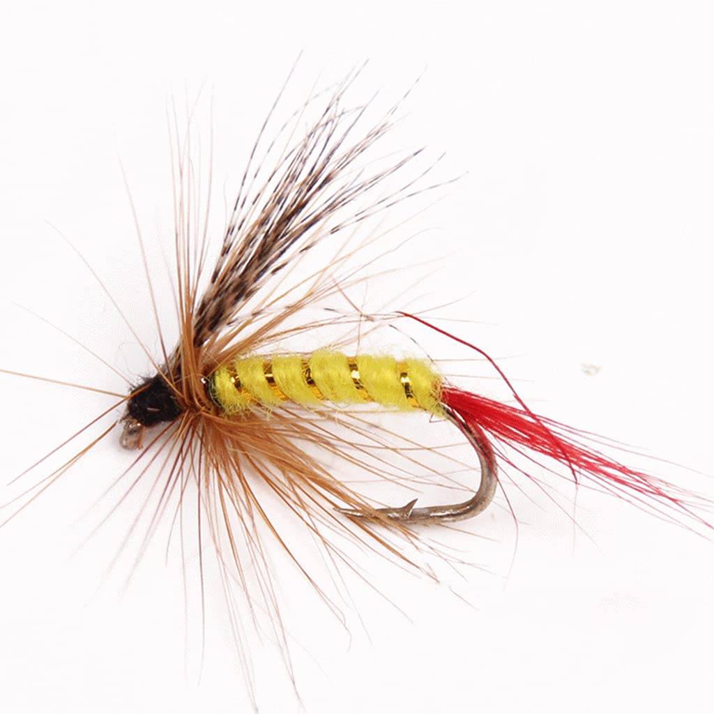 Kit de leurres de pêche à la mouche avec boîte de pêche à la mouche, assortiment pour bar, truite, saumon, leurres de pêche à la mouche, kit sec