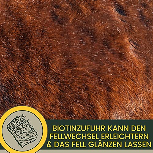 EMMA Mineralfutter Pferd 5kg + Biotin Zink Selen – Mineralien Komplex mit Magnesium & Bierhefe – Pellets & Amino Paste 30ml – Huf Fell Haut Fellwechsel – Pferdefutter für Starke Hufe & Vitalität