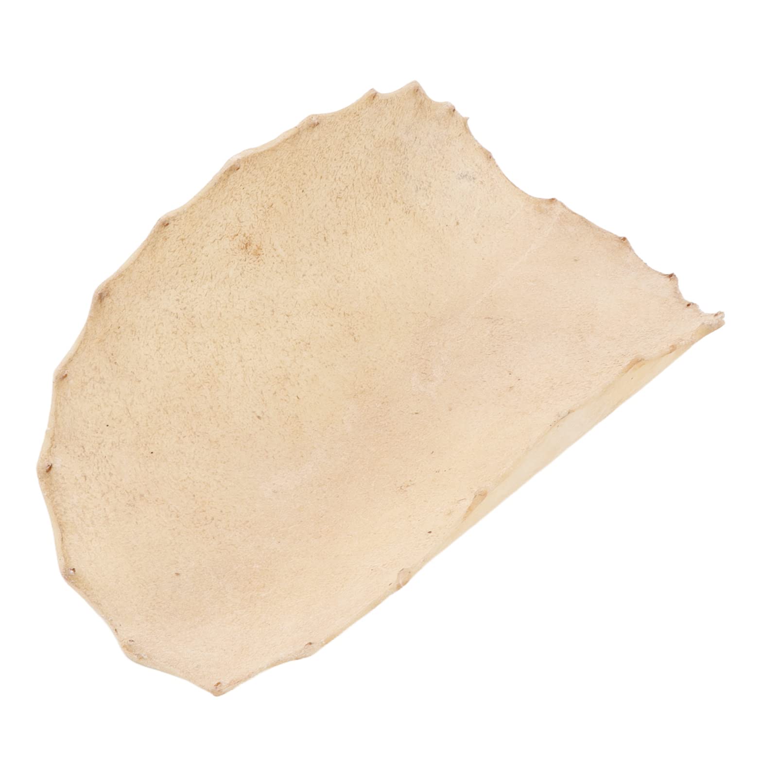 Peau de Chèvre, Peau de Bongo Expérience de Percussion Locale à Haute densité de Tension Couleur Primaire pour Djembe