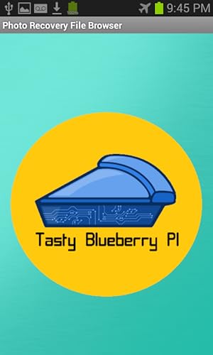 Tasty Blueberry Pi Q.R.S.TWO Photo Recovery File Browser thumb #8