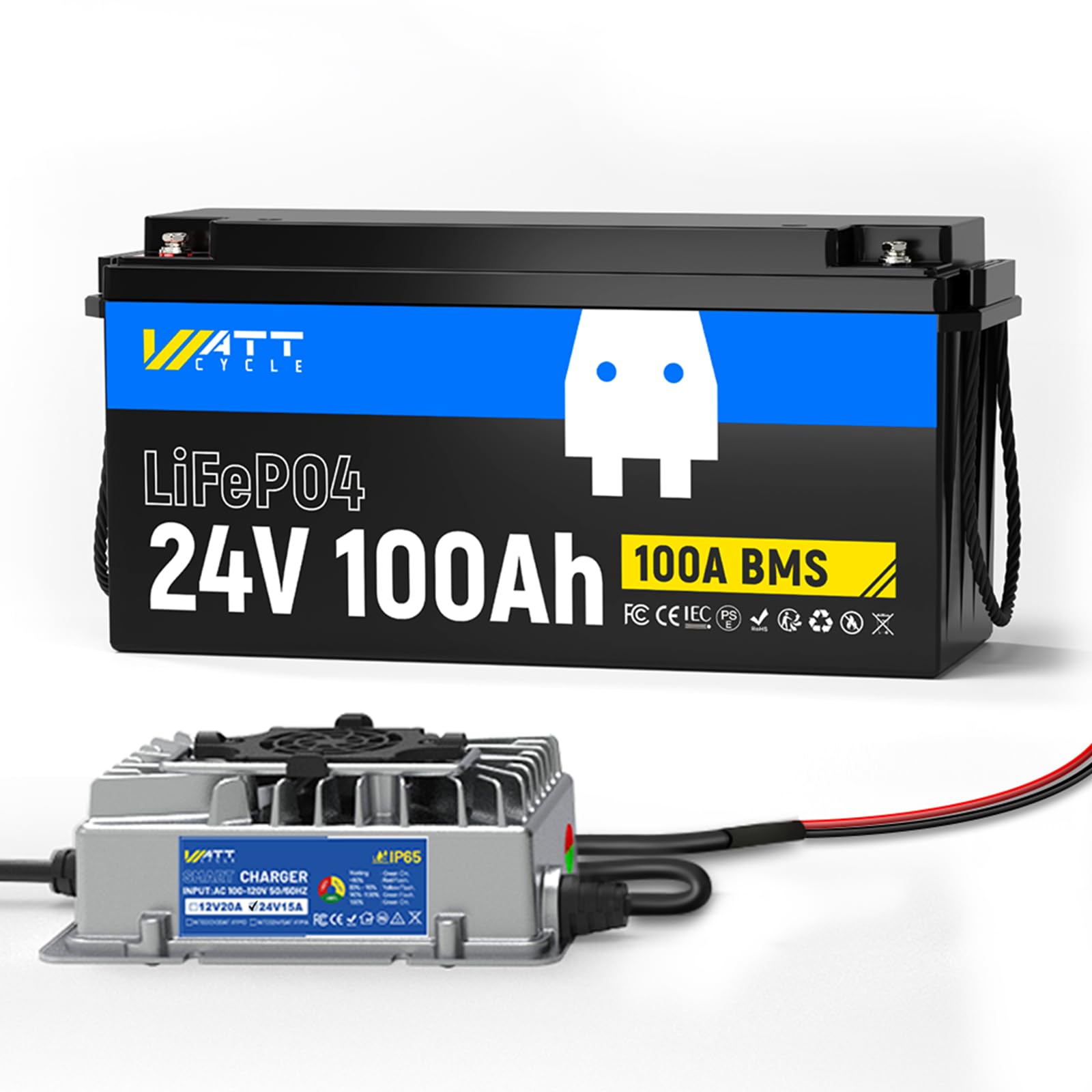 Wattcycle 24V 100Ah LiFePO4 Battery with 15A Charger, 2.56kWh, 100A BMS